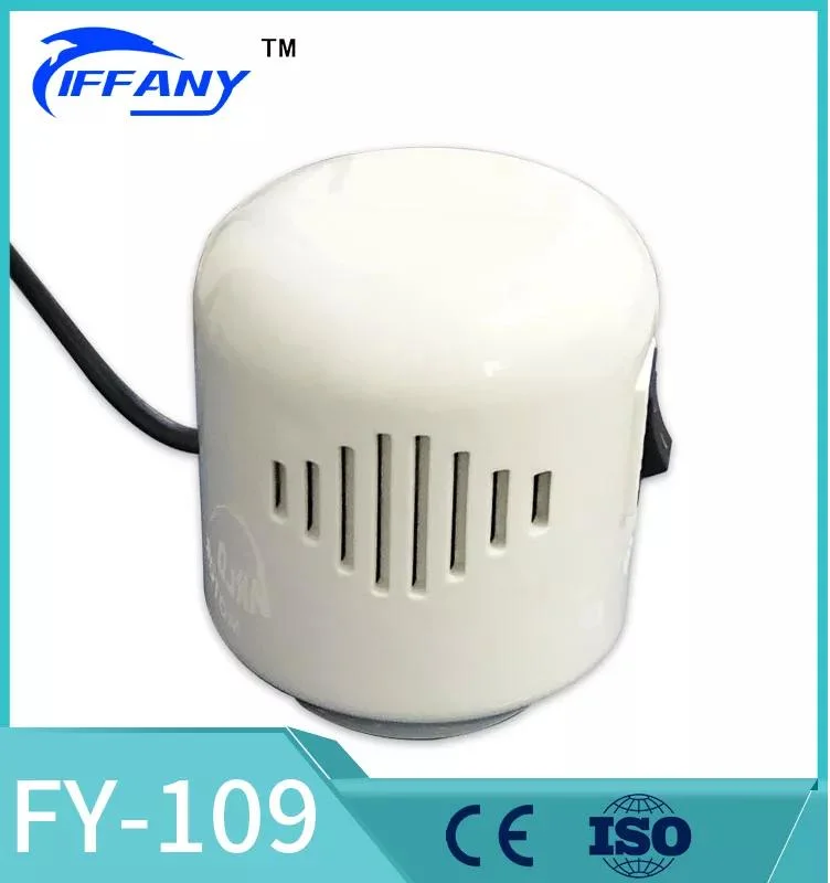 Factory Directly Wholesale CE/FC/RoHS DC 220V-36V Electric Air Pump Specially for Vacuum Compression Bag